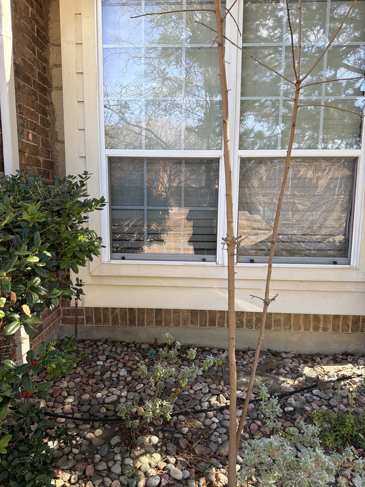 Window Repair & Replacement Luna Glass and Mirror